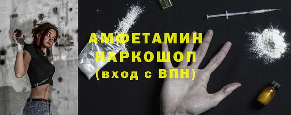 стафф Алексин