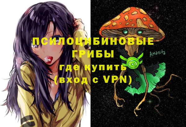 стафф Алексин