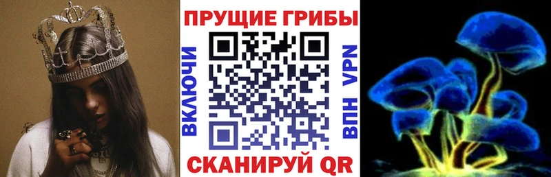 Псилоцибиновые грибы мухоморы  наркотики  Мураши 